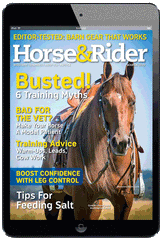 Horse & Rider (Digital)